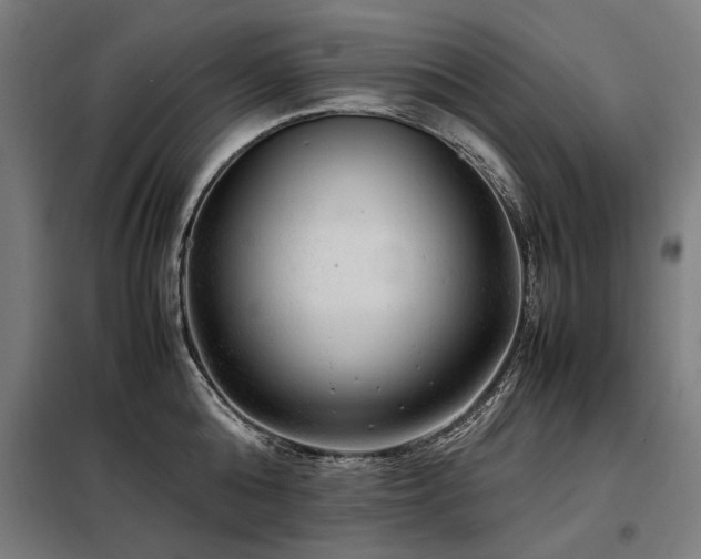 X0000098120808200804041407