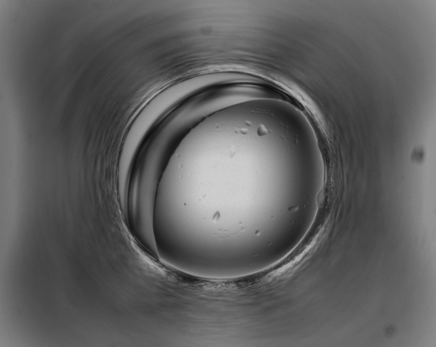 X0000098120809200804041407