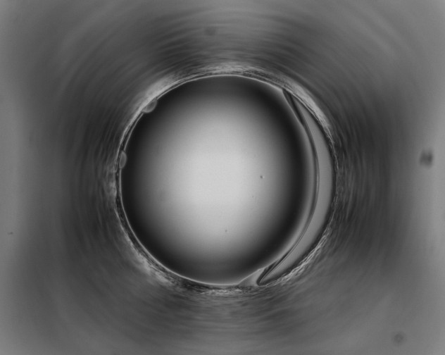 X0000098120810200804041407