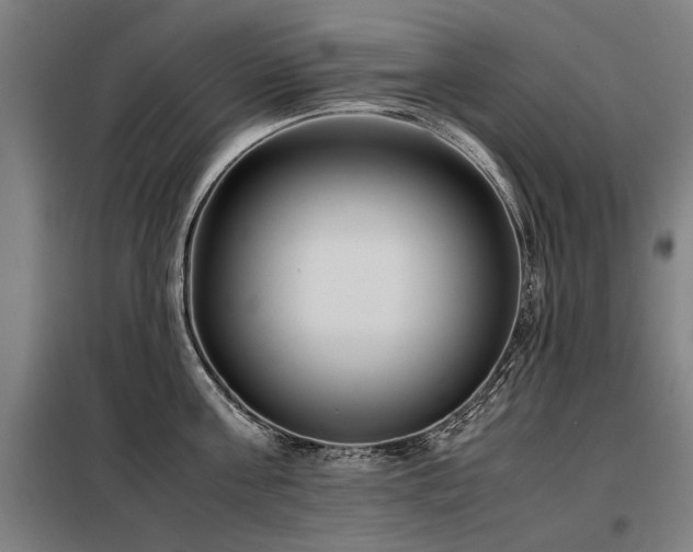 X0000098120811200804041407
