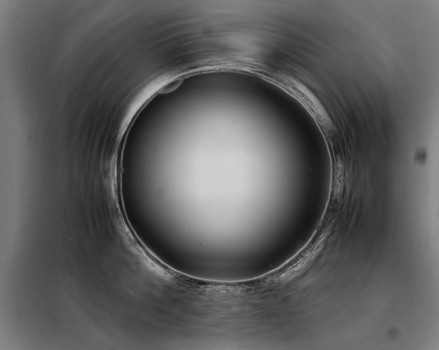 X0000098120812200804041407