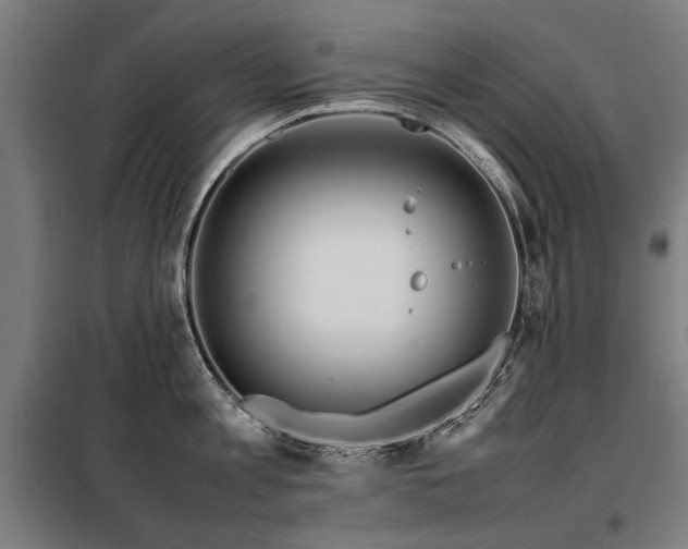 X0000098120813200804041407