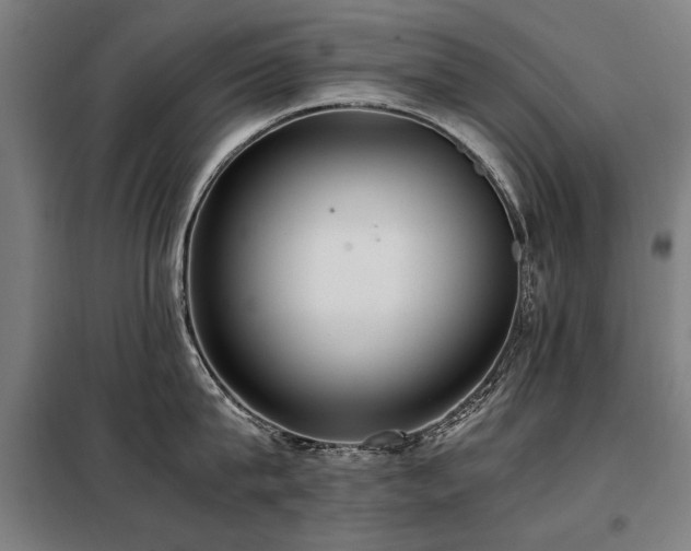 X0000098120815200804041407
