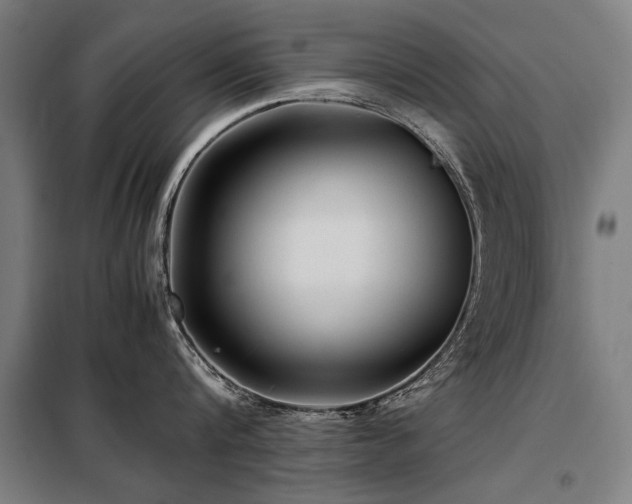 X0000098120816200804041407