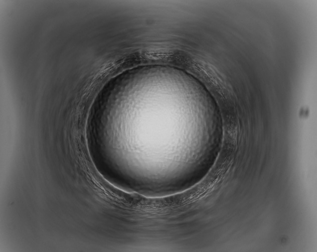 X0000098120817200804041406