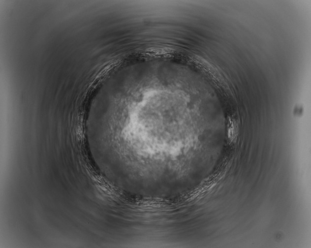 X0000098120819200804041406