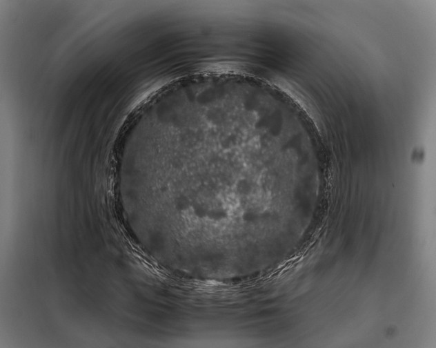 X0000098120823200804041406