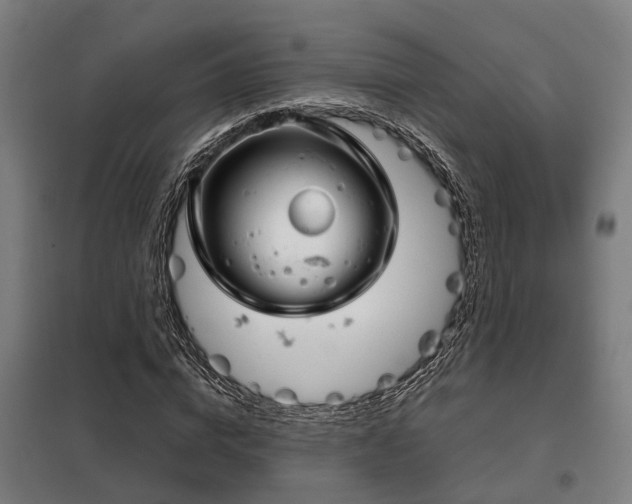 X0000098120824200804041406