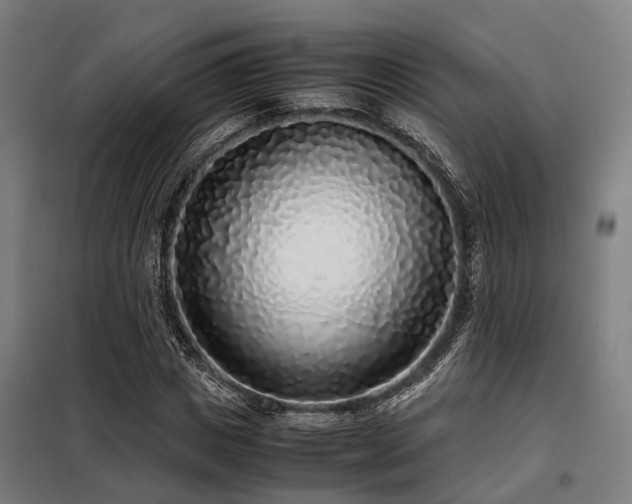 X0000098120825200804041406