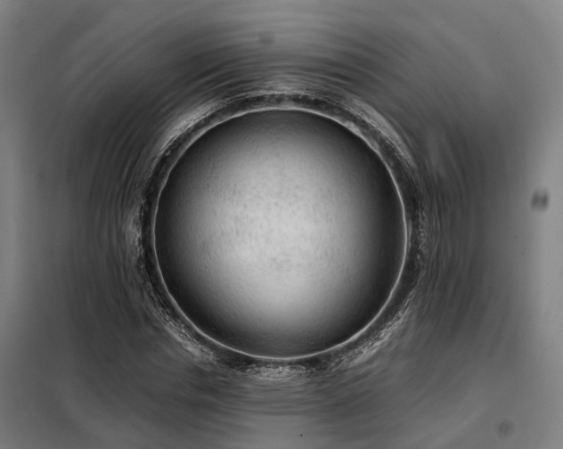 X0000098120826200804041406