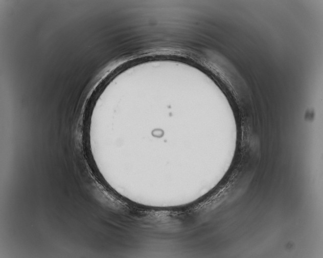X0000098120828200804041406