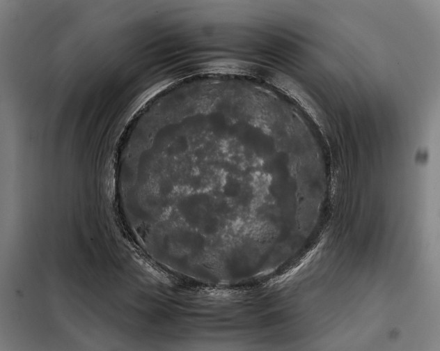X0000098120829200804041406