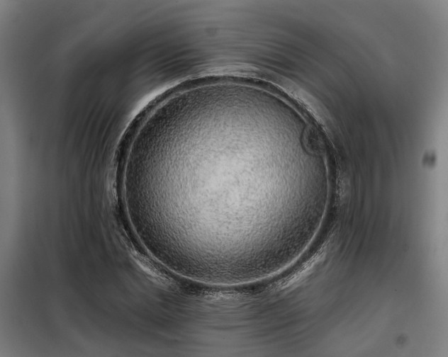 X0000098120830200804041406