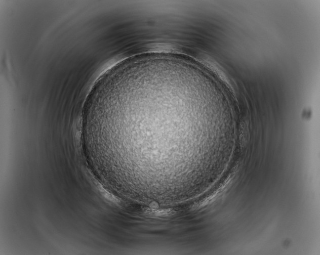 X0000098120831200804041406