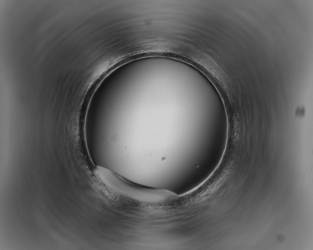 X0000098120834200804041406