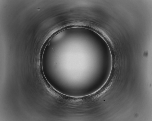 X0000098120837200804041406