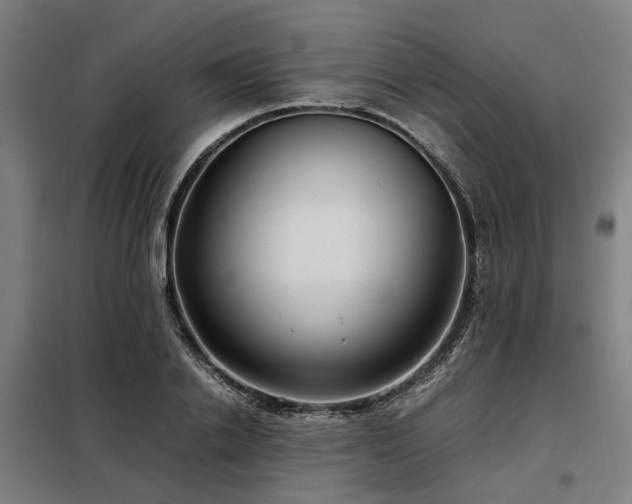 X0000098120838200804041406