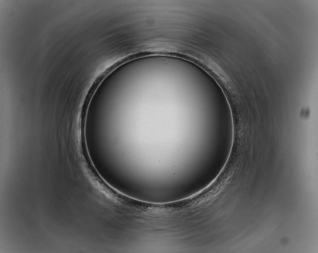 X0000098120840200804041406