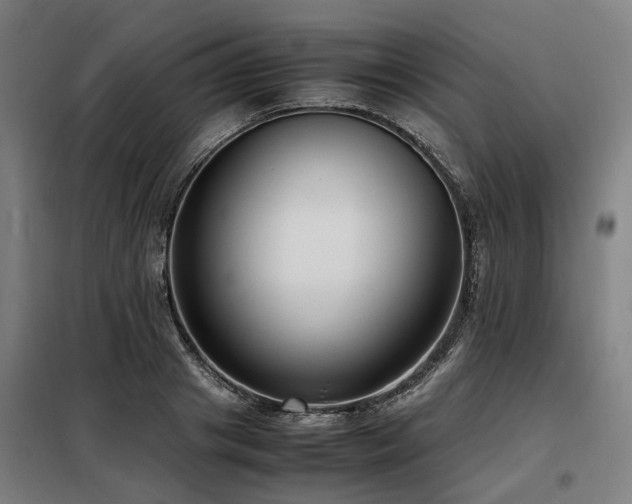 X0000098120841200804041406