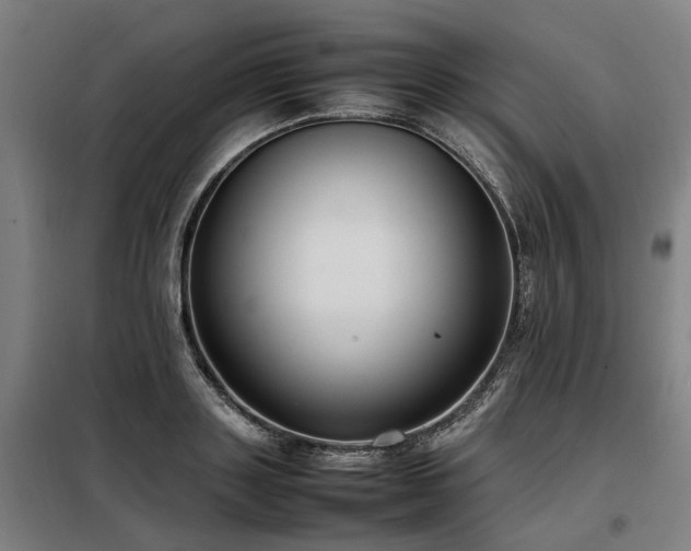 X0000098120843200804041406