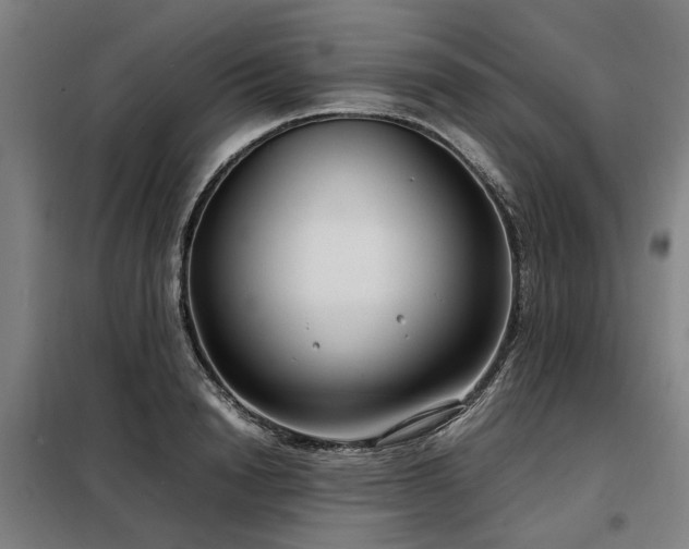 X0000098120846200804041406