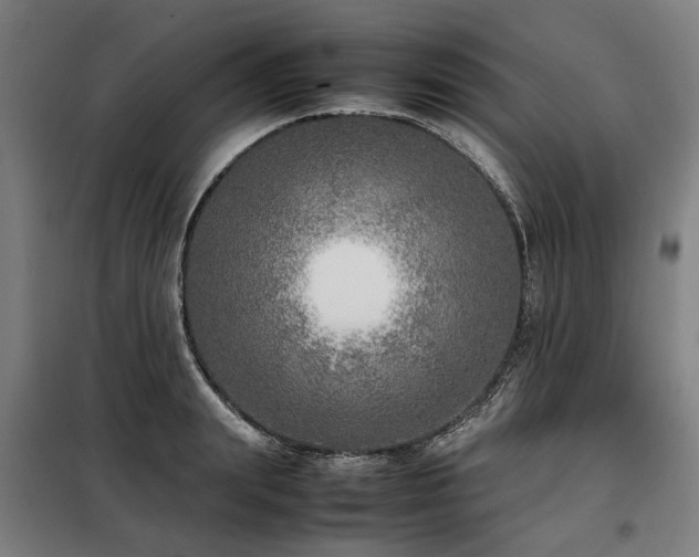 X0000098120847200804041406