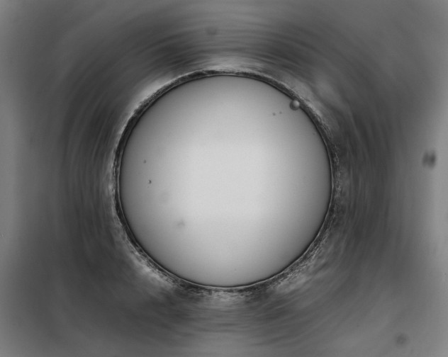 X0000098120848200804041406