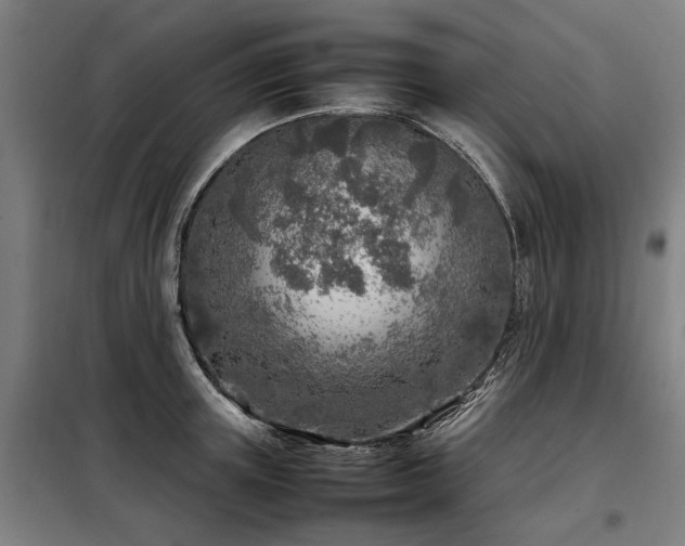 X0000098120851200804041406