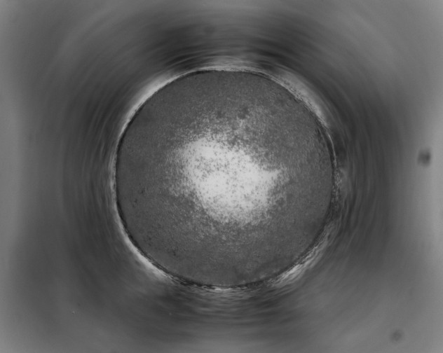 X0000098120855200804041406