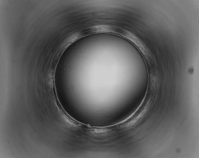 X0000098120857200804041407