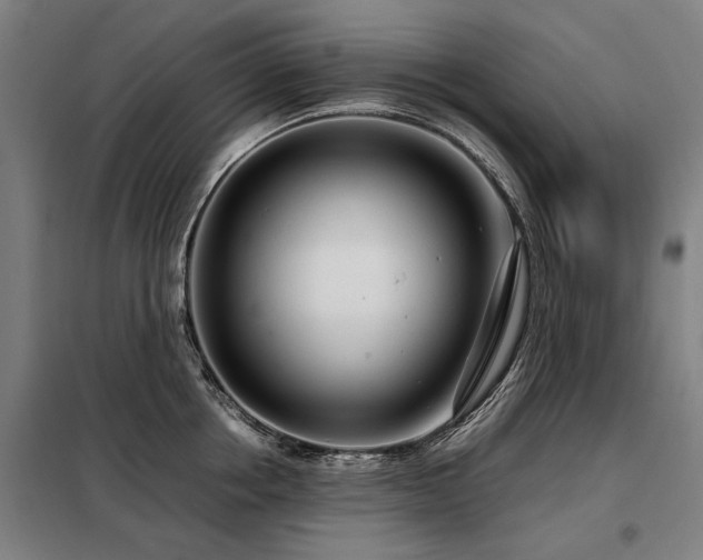 X0000098120858200804041407
