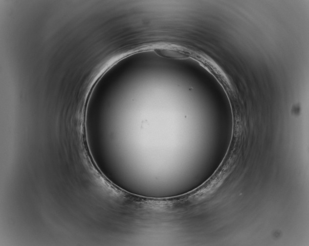 X0000098120860200804041407