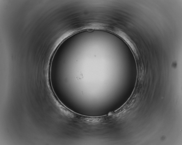 X0000098120861200804041407