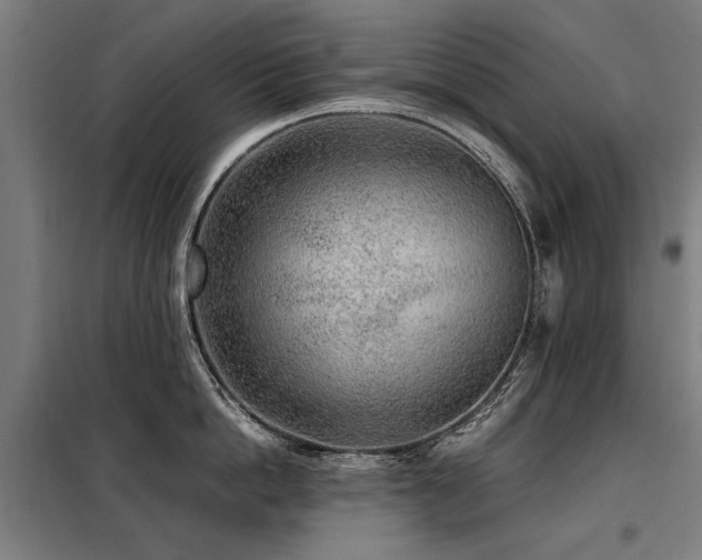 X0000098120862200804041407