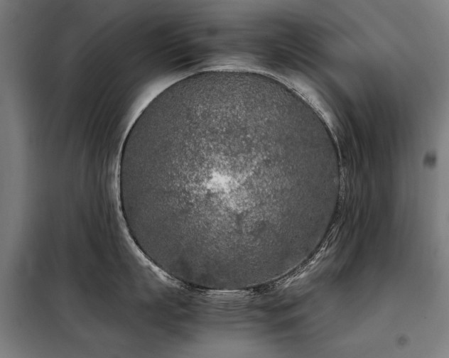 X0000098120863200804041407