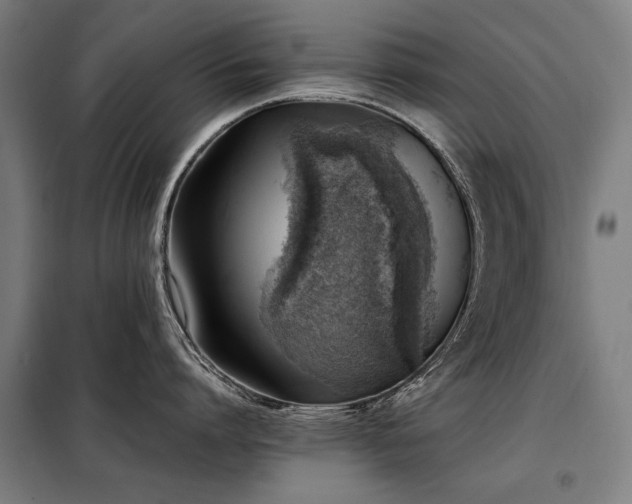 X0000098120864200804041407
