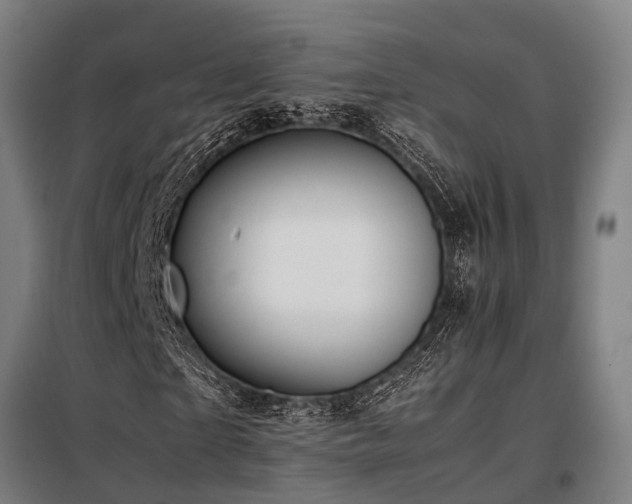 X0000098120865200804041406