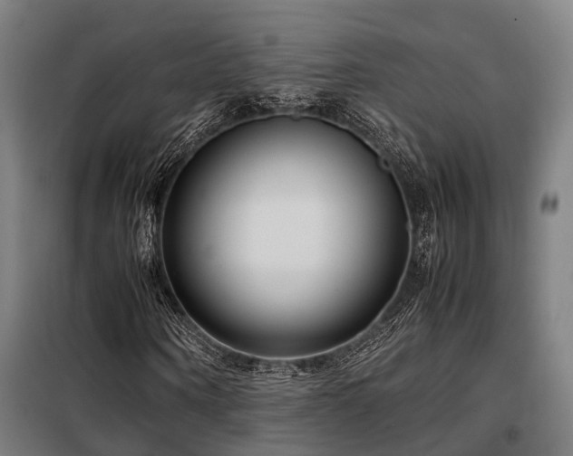 X0000098120866200804041406