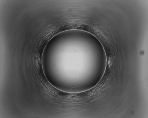 X0000098120867200804041406