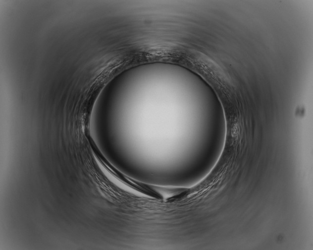 X0000098120868200804041406