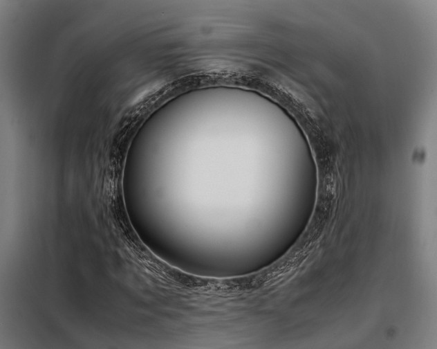 X0000098120869200804041406