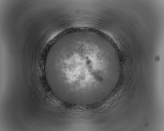 X0000098120871200804041406