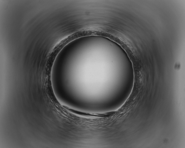 X0000098120872200804041406
