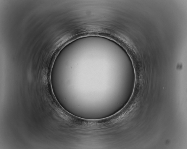 X0000098120873200804041405