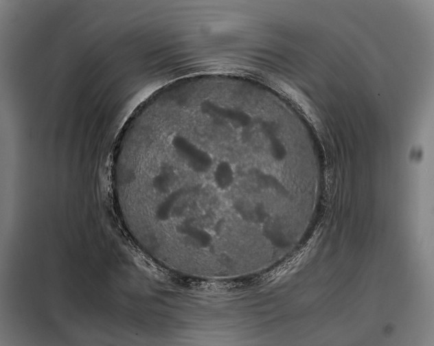 X0000098120875200804041405