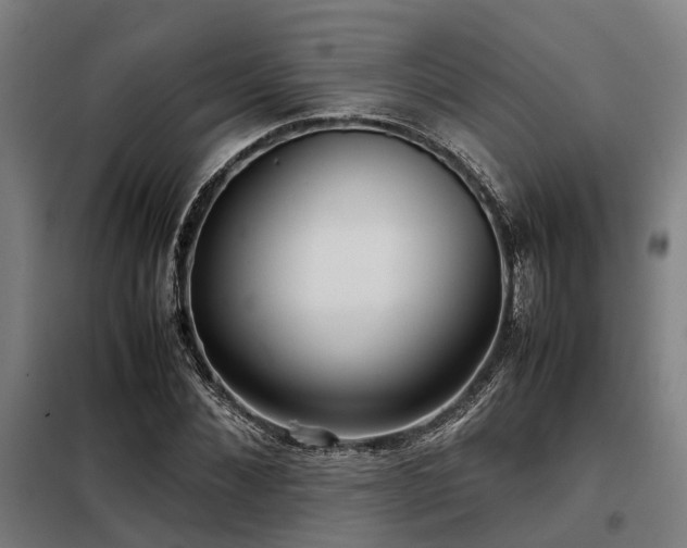 X0000098120876200804041405
