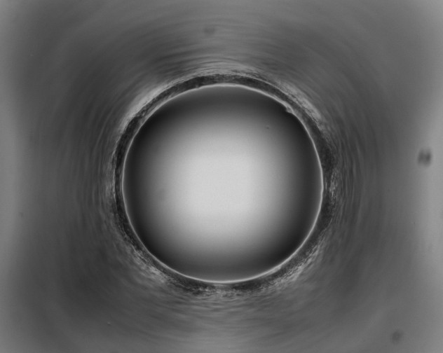 X0000098120877200804041405