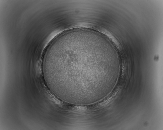 X0000098120878200804041405