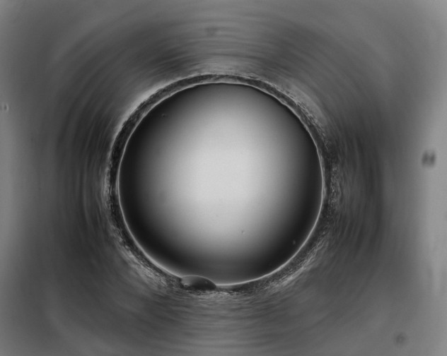 X0000098120880200804041405