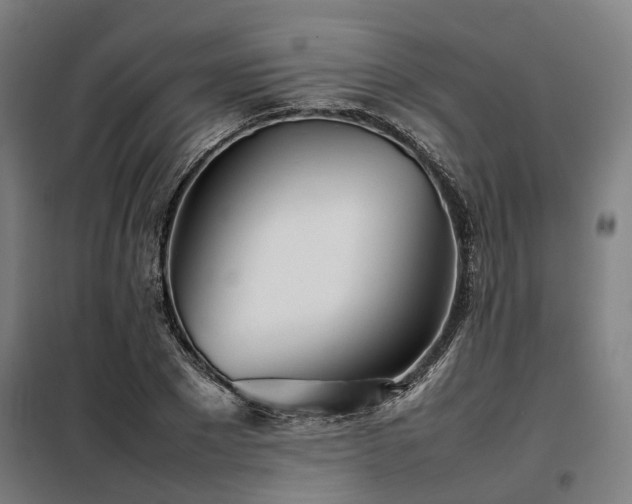 X0000098120881200804041405